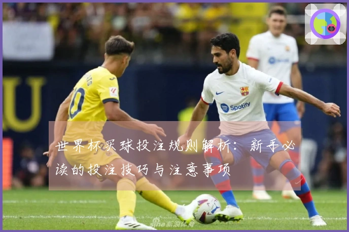 世界杯买球投注规则解析：新手必读的投注技巧与注意事项