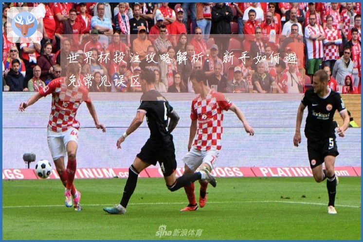 世界杯投注攻略解析：新手如何避免常见误区