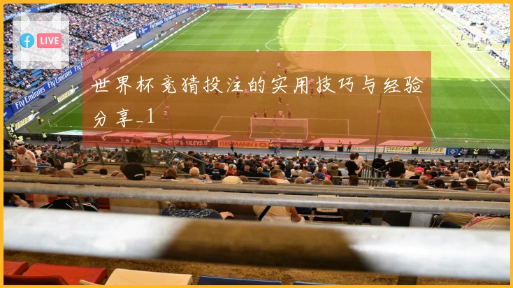 世界杯竞猜投注的实用技巧与经验分享_1