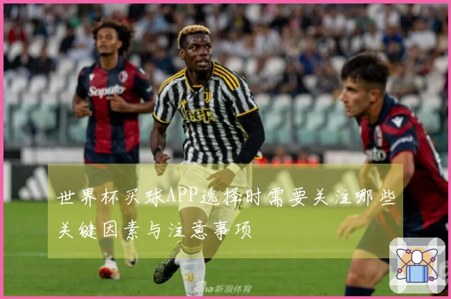 世界杯买球APP选择时需要关注哪些关键因素与注意事项