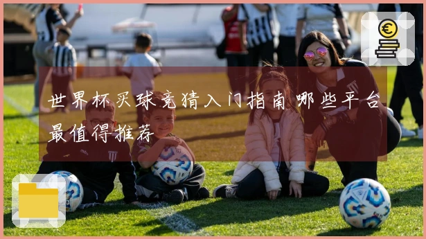 世界杯买球竞猜入门指南 哪些平台最值得推荐