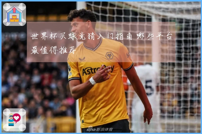 世界杯买球竞猜入门指南 哪些平台最值得推荐