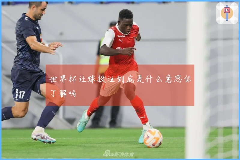 世界杯让球投注到底是什么意思你了解吗