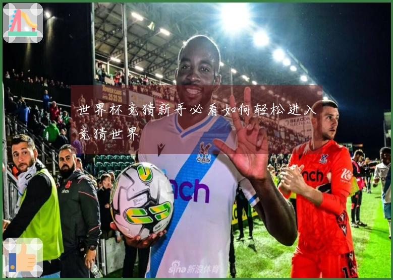 世界杯竞猜新手必看如何轻松进入竞猜世界